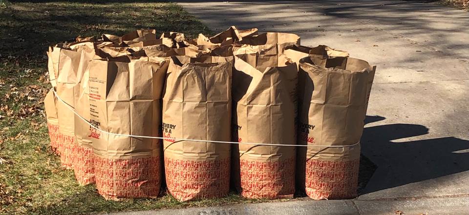 Yard Waste Bags at the Curb