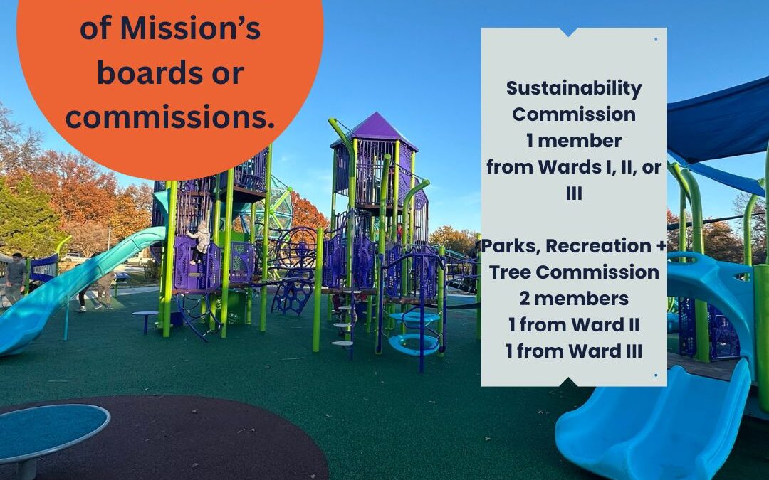 Represent Your Community on a Board or Commission!